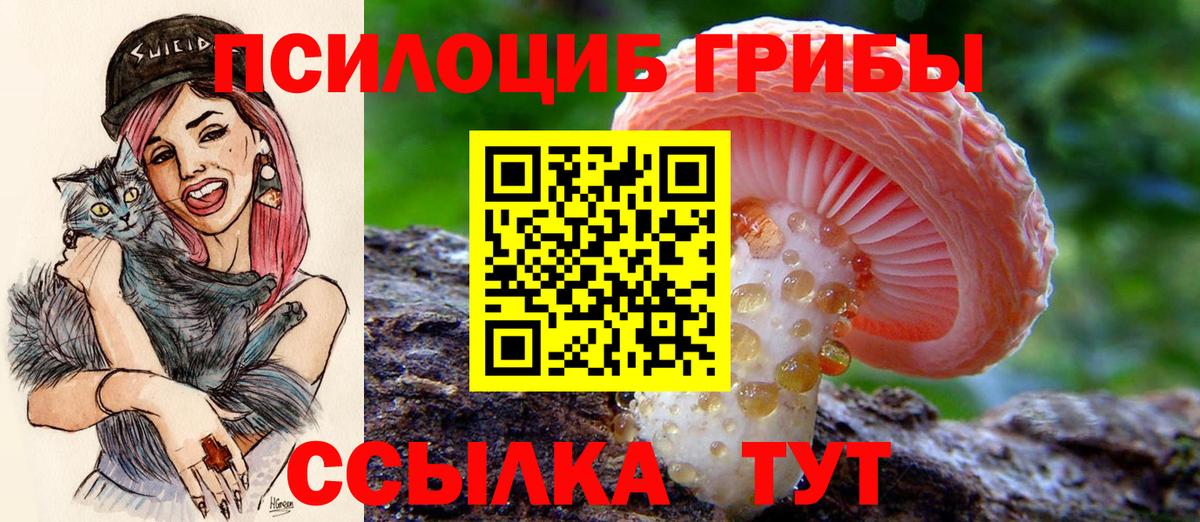 Галлюциногенные грибы мухоморы  Вход с VPN  Белая Калитва 