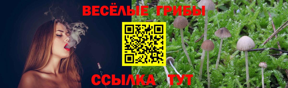 Псилоцибиновые грибы Magic Shrooms Белая Калитва